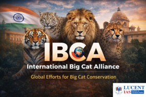 International Big Cat Alliance (IBCA)